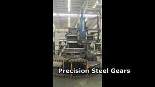 Wytrzymałe stalowe przekładnie zębate czołowe dla zakładów przemysłowych